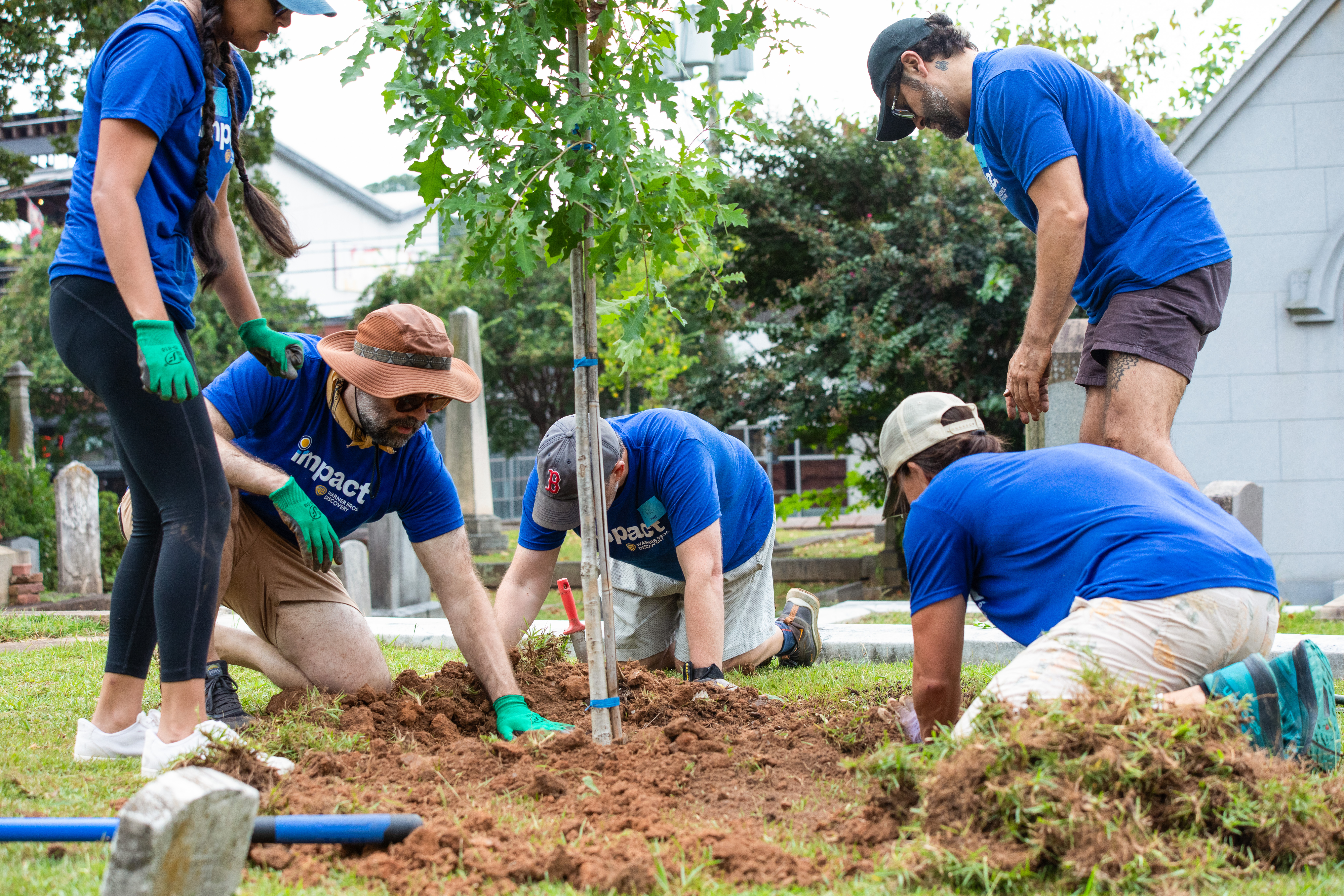 Explore Our Impact