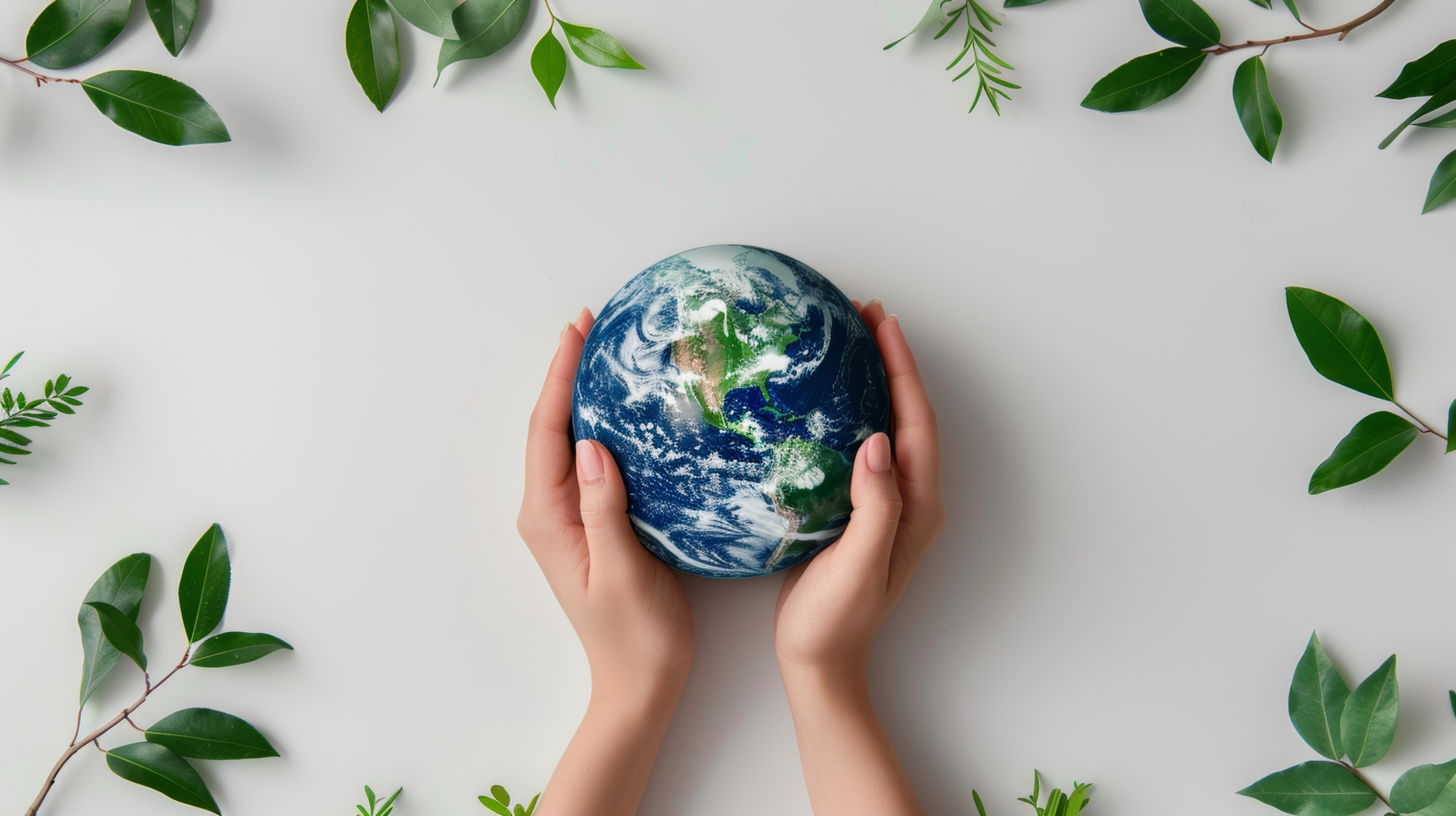 Products and Packaging